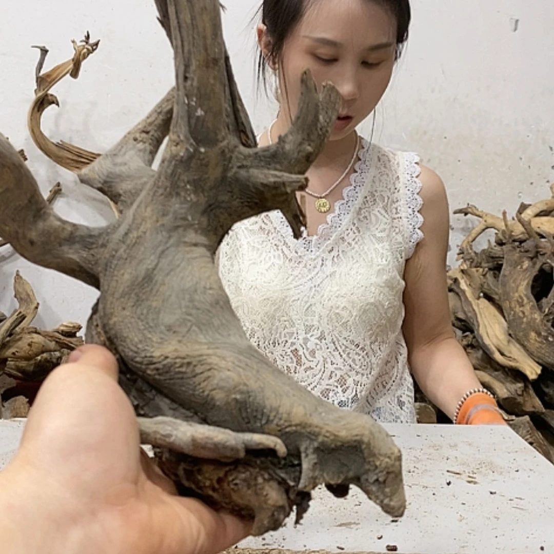 【闪购商品】柏木觉*我们都是好孩子