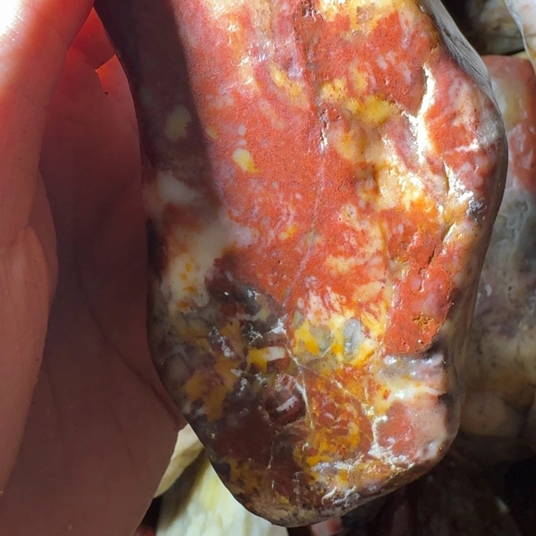 石***店寿山石8998899889999