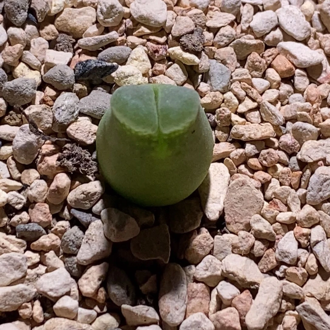 超级奶瓶超级奶瓶超级奶瓶