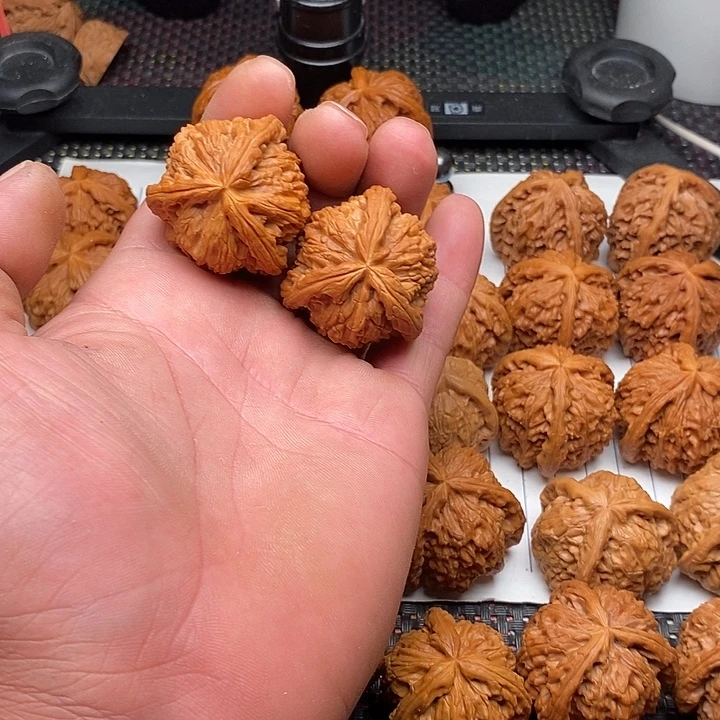 手串/手链核桃拼接白狮子20号