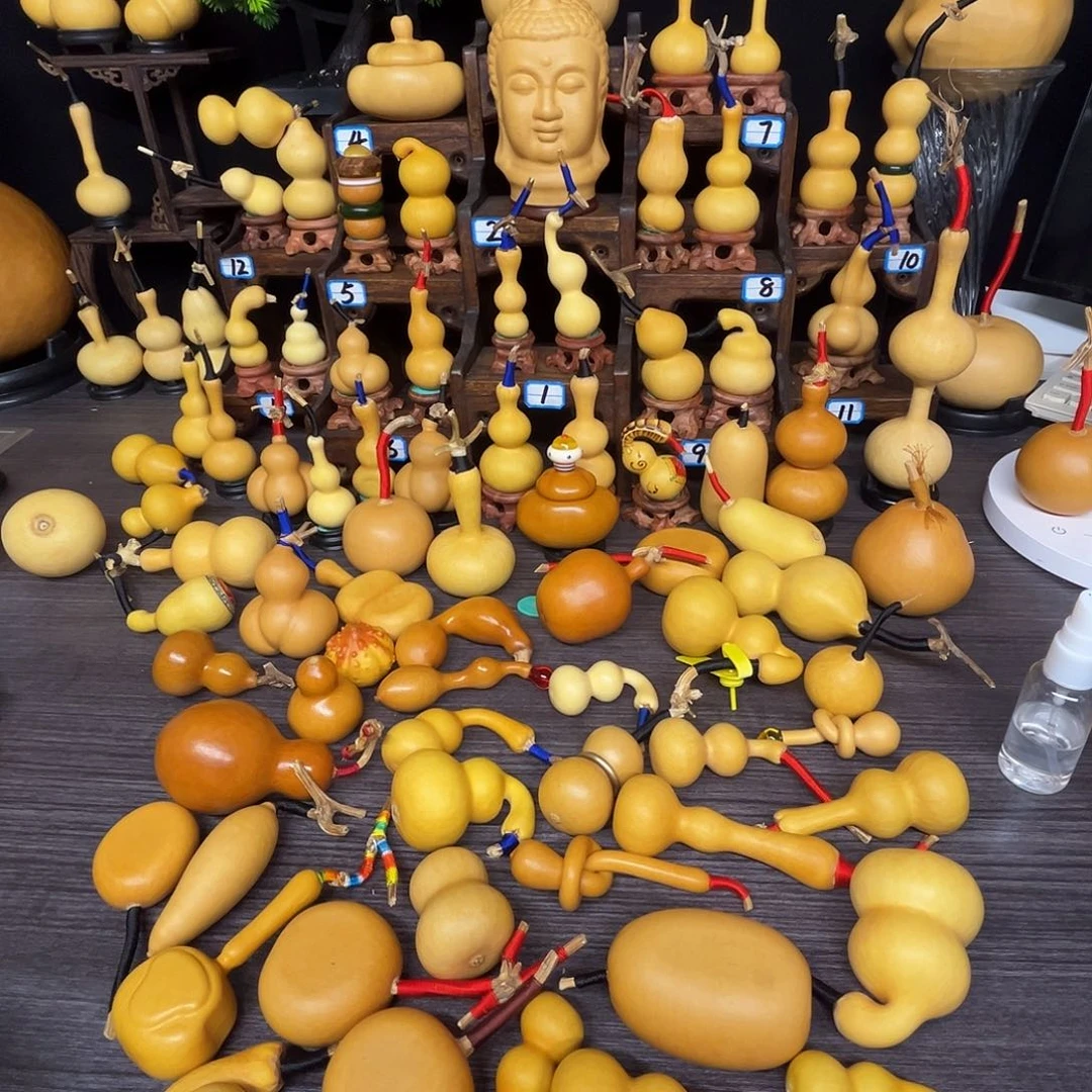 *****葫芦感谢感谢感谢，