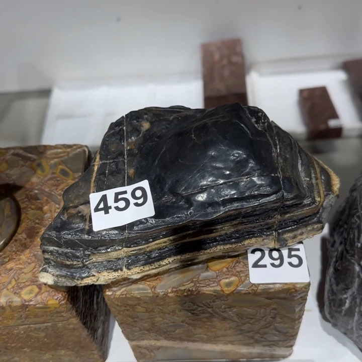 111111夜*月11111111111