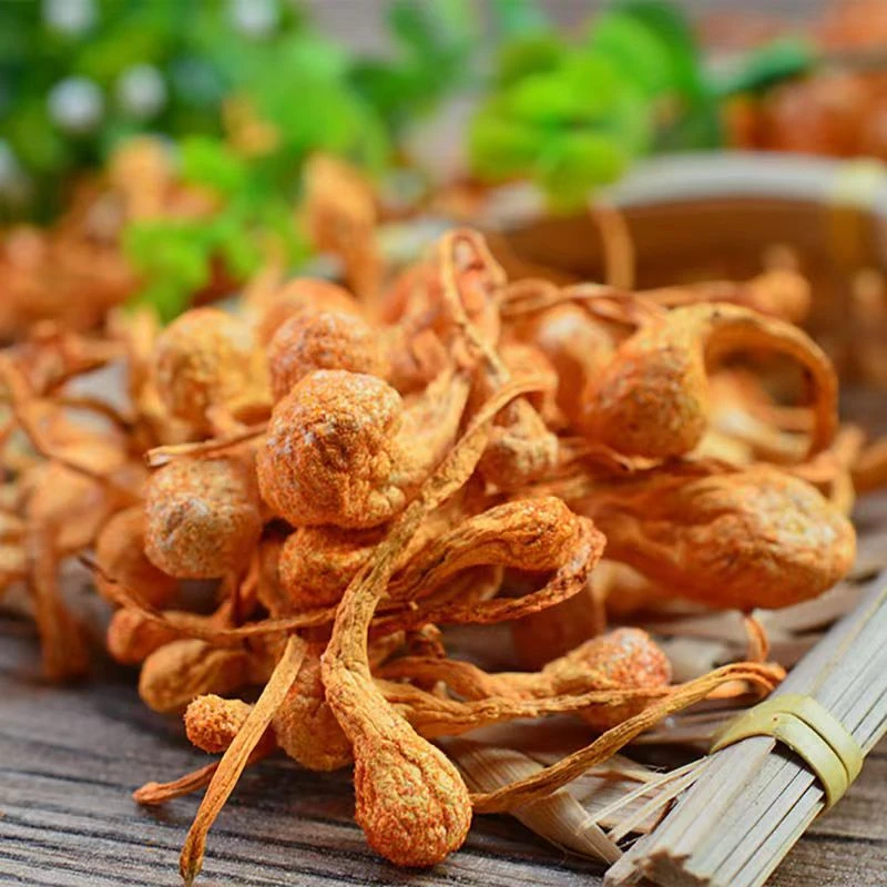 虫草花孢子头【买100g送100g，买200g送200g】