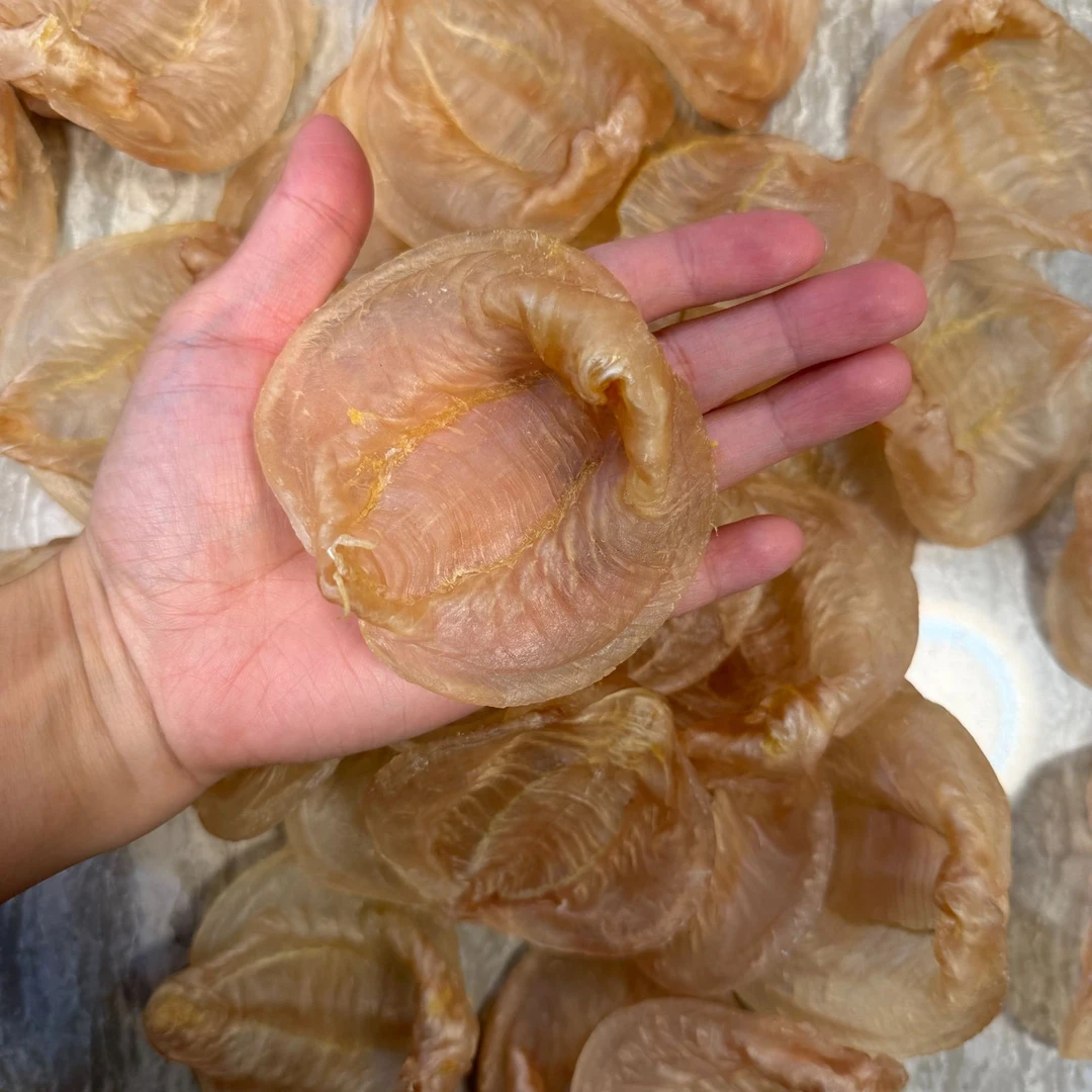 联兴港 正宗本港30头湛江白花鱼胶花胶 0添加 纯天然 原生态