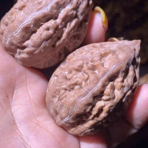 文玩核桃把件东北野生楸子小美86