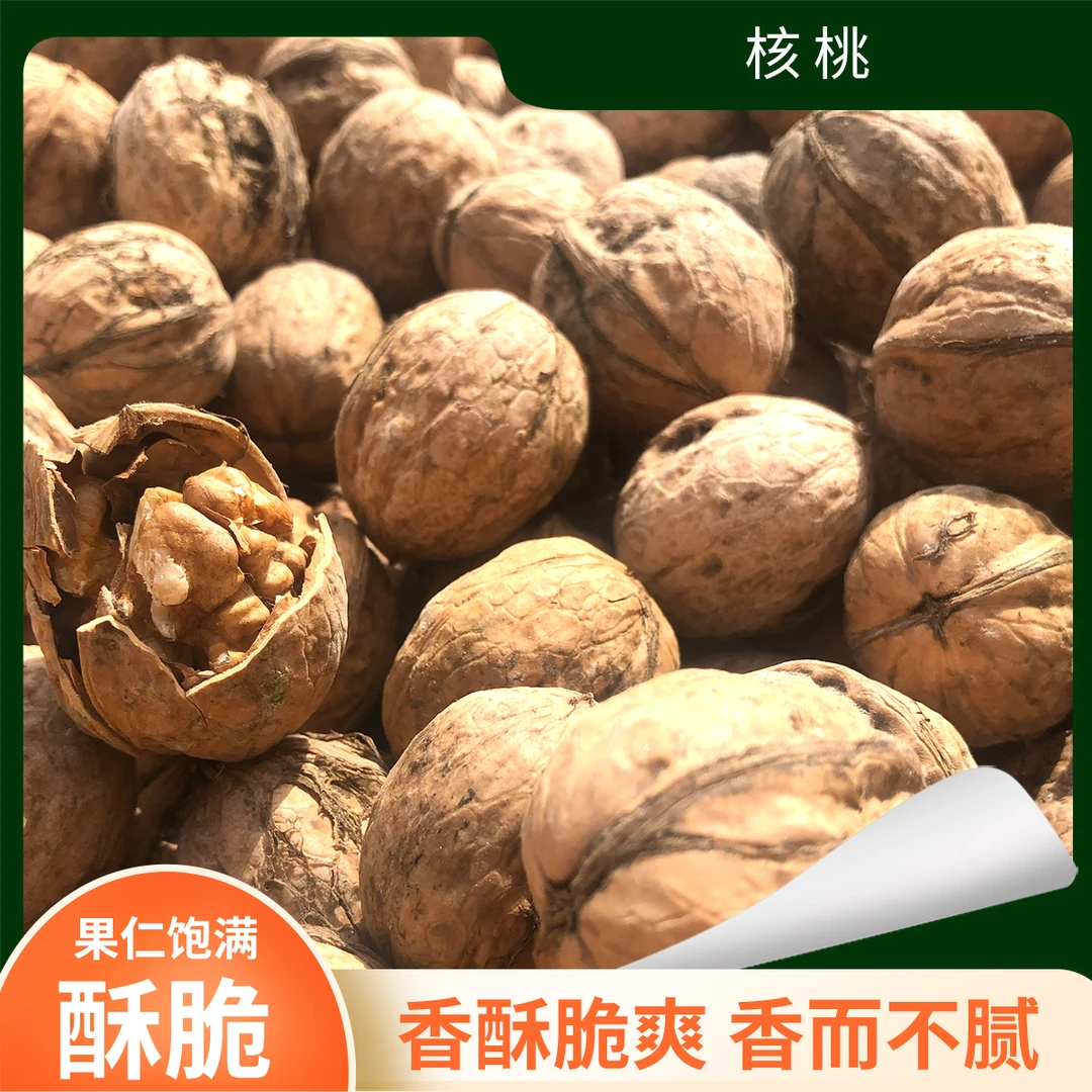 【新疆阿克苏185纸皮核桃】手捏即开饱满果仁厚实皮薄肉满
