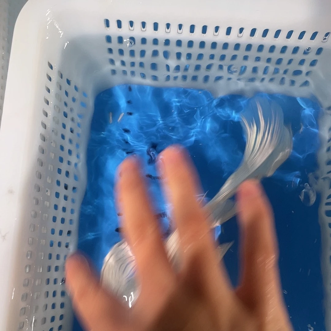 锦鲤锦鲤包邮 开箱视频包售后