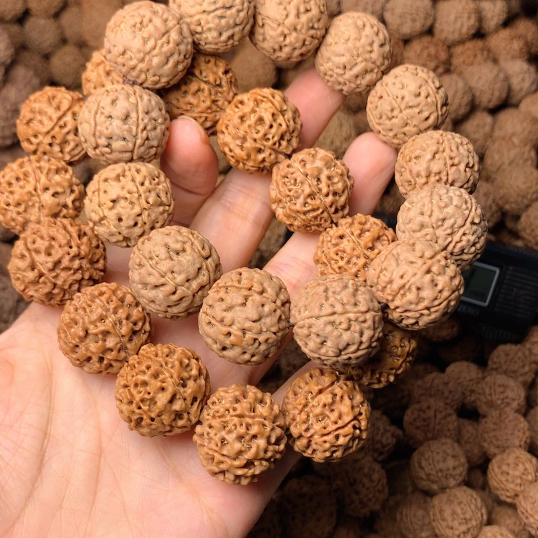 木7瓣金刚卡20尺寸，2条