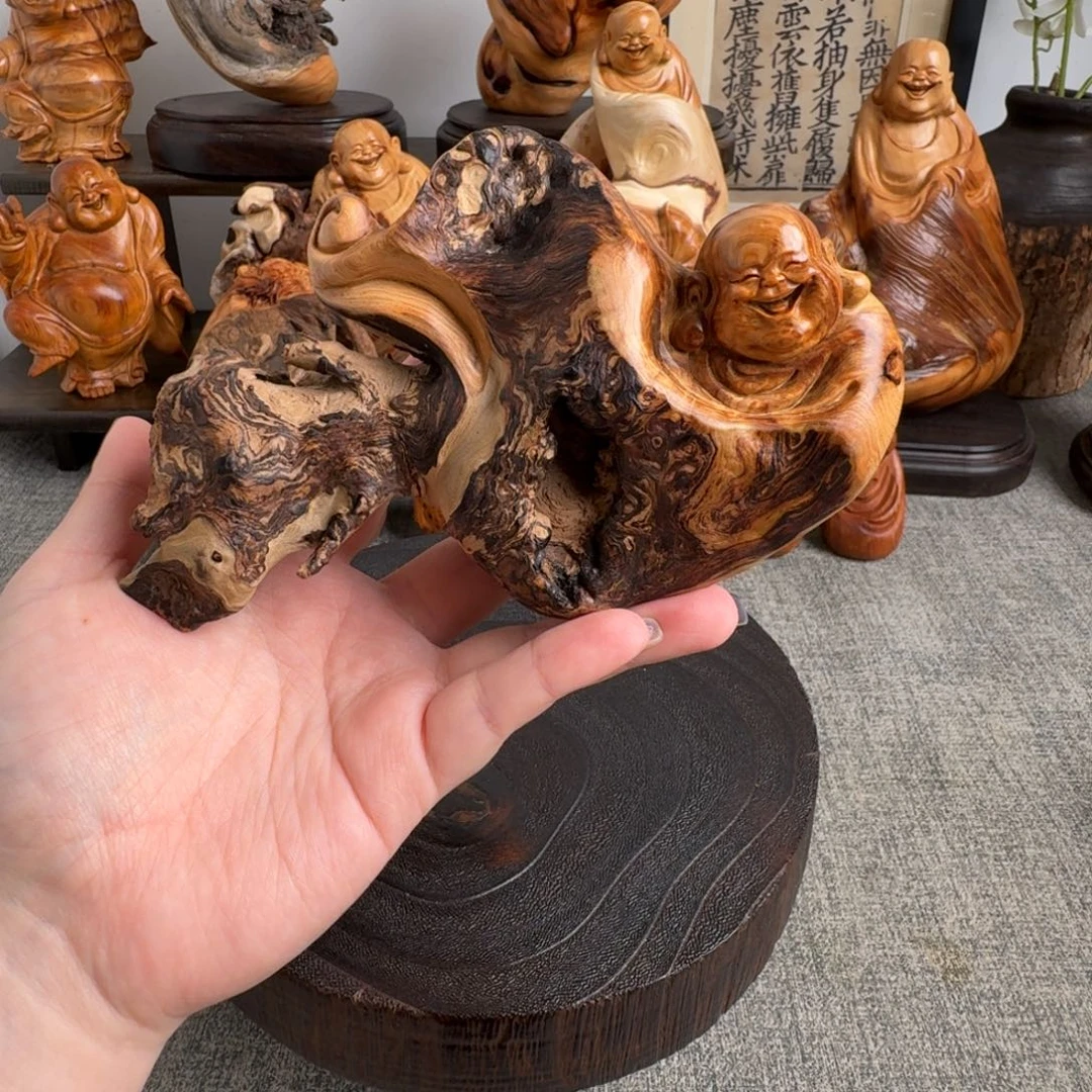 柏木（崖柏）关注一下