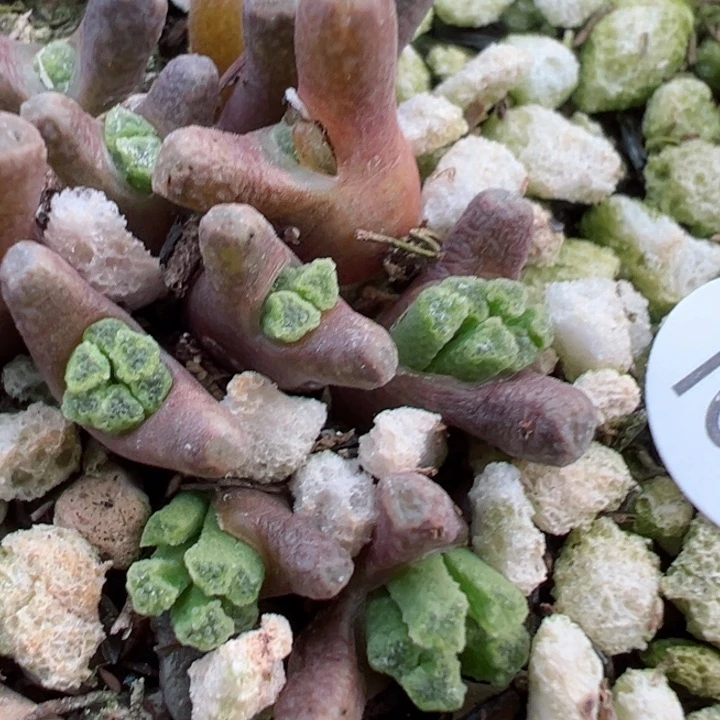 164干11111111111111