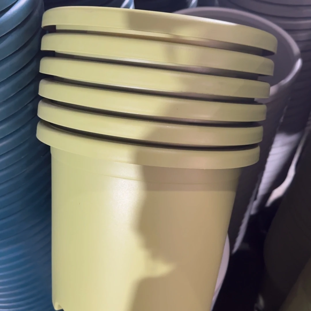 树脂特价5#无拖果绿6个