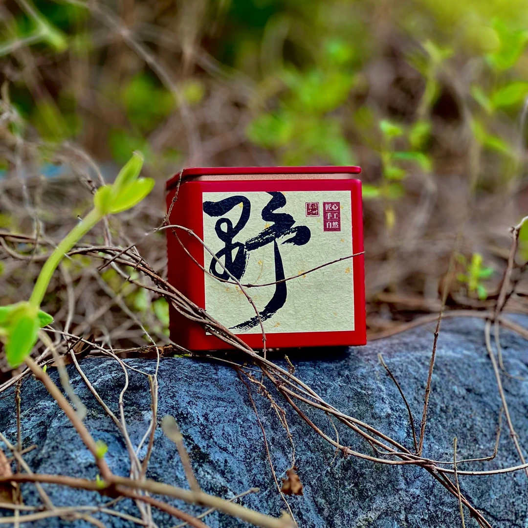 【荒野红茶】桐木关正山小种，花果蜜香