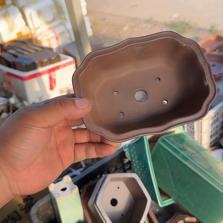 这个时候才开始准备好准备迎接我