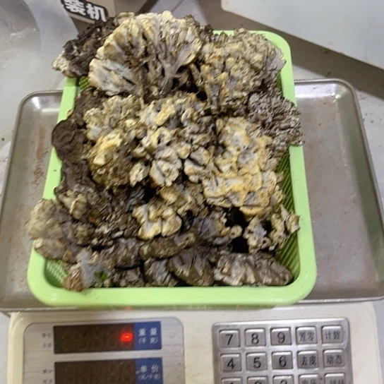 鸡纵超好吃中国大陆