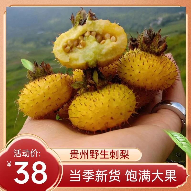 贵州刺梨鲜果野生刺梨茨梨维C之王产地现摘现发