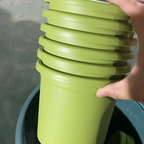 树脂口径14果绿10个无托