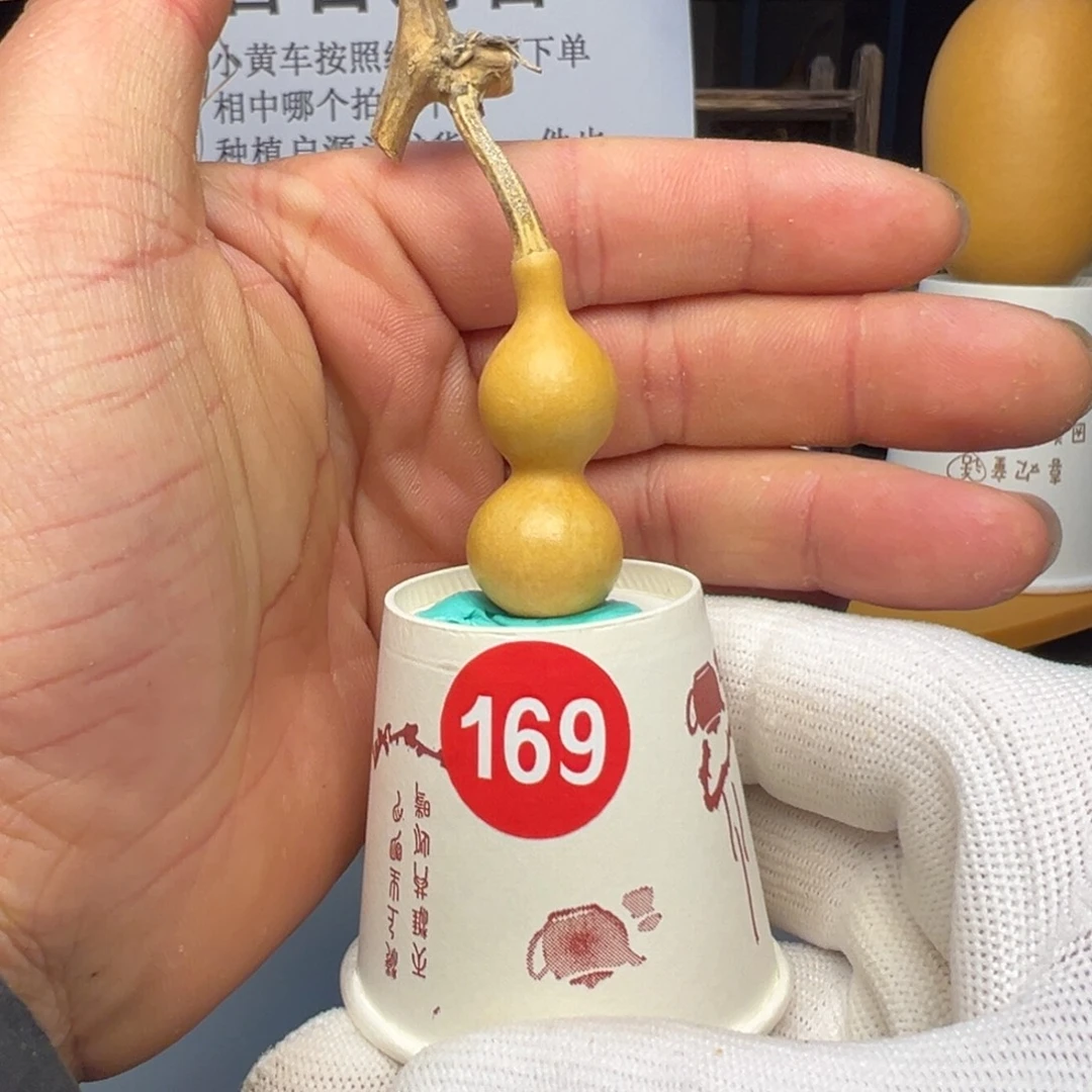 闪电购自助下单编号169