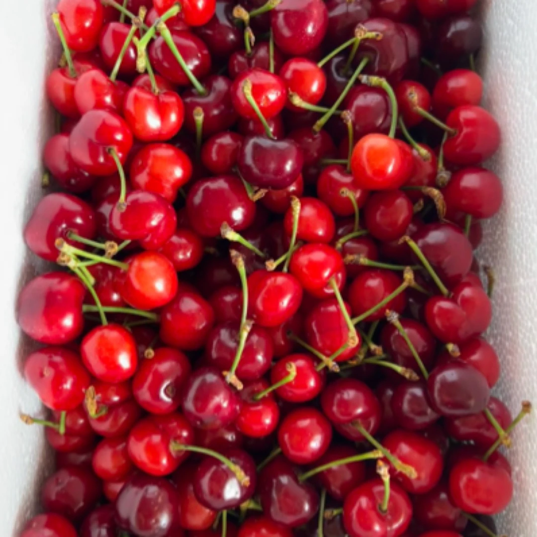 美早樱桃JJ2斤红灯