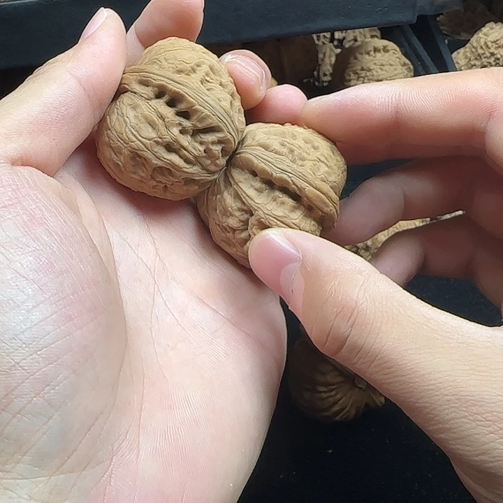 ****‍吊坠龙脊菩提啊啊啊啊啊啊元宝5