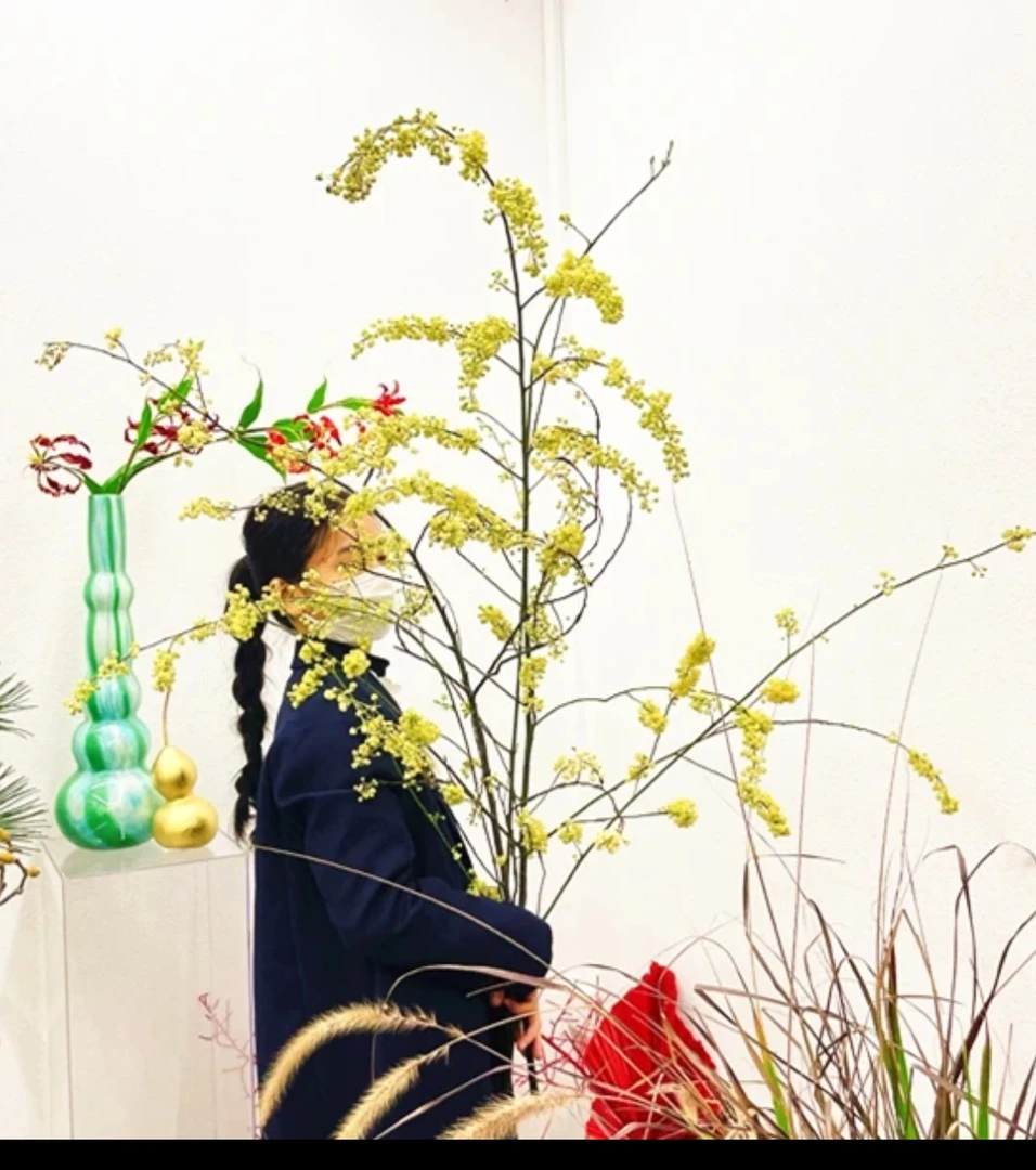 鲜切枝水培山姜子年宵花平替发财果山归来火棘果马醉木美男树吊钟