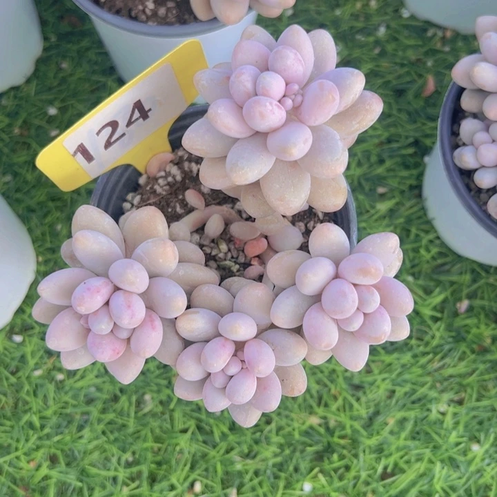 ，健健康康平平安安