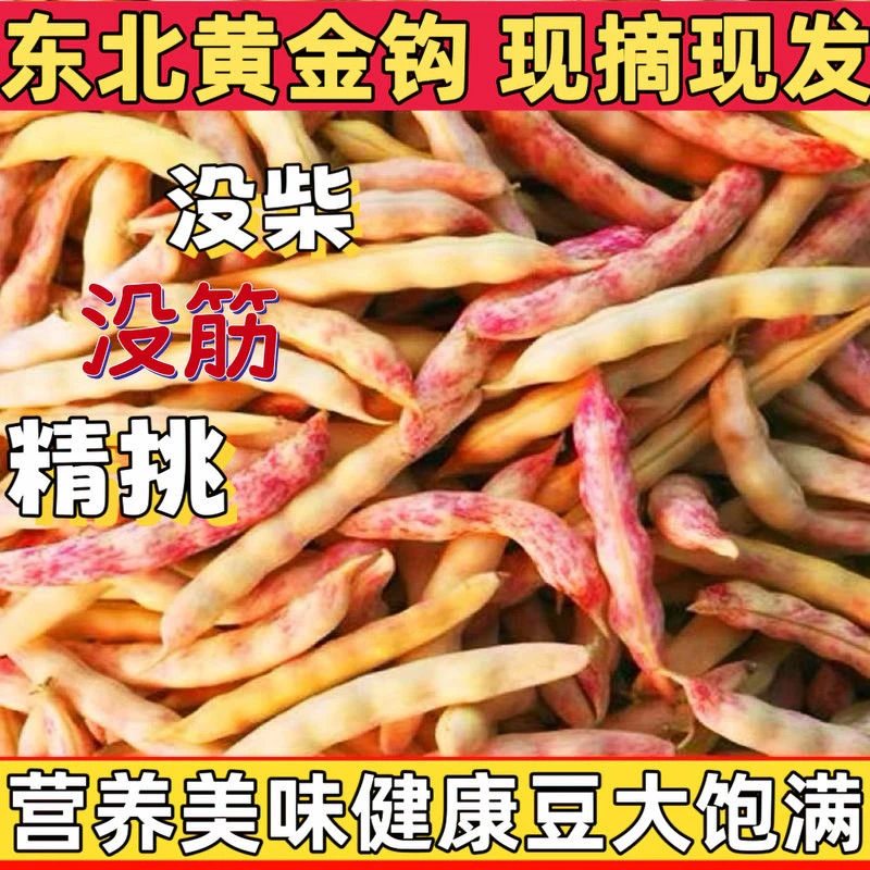新鲜红豆角红金勾豆角现摘现发3斤5斤包邮黄金钩油豆角