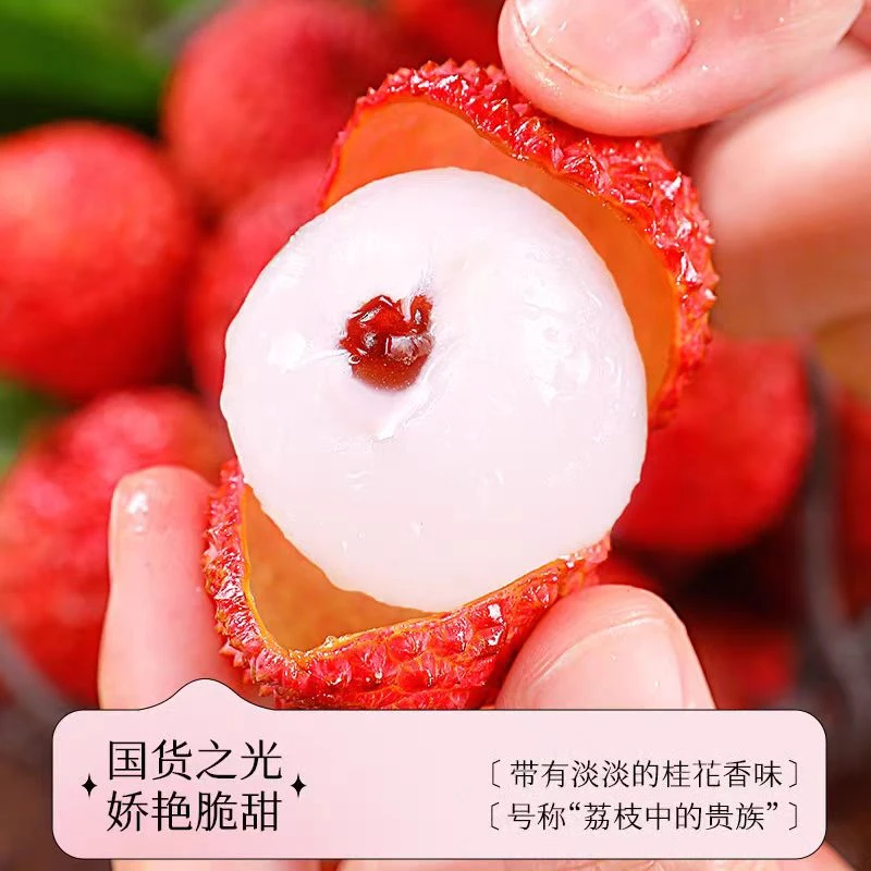 【丫头精选】空运桂味荔枝正宗广东新鲜增城桂味荔枝清甜爽脆空运新鲜G包邮荔枝同城送