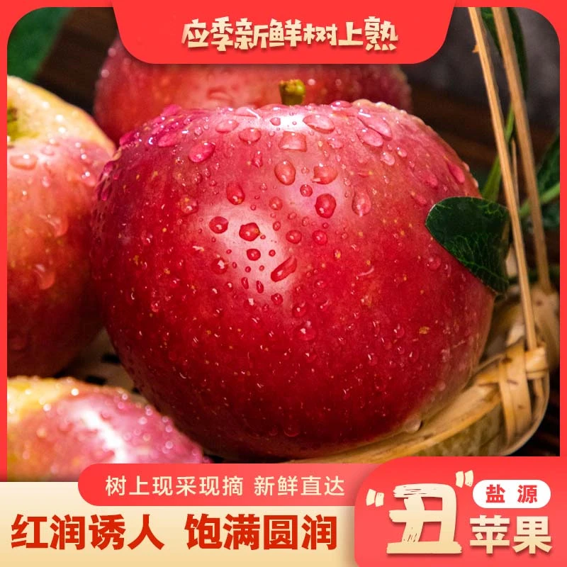 四川高山丑苹果清甜可口带冰糖心新鲜水果现摘现发