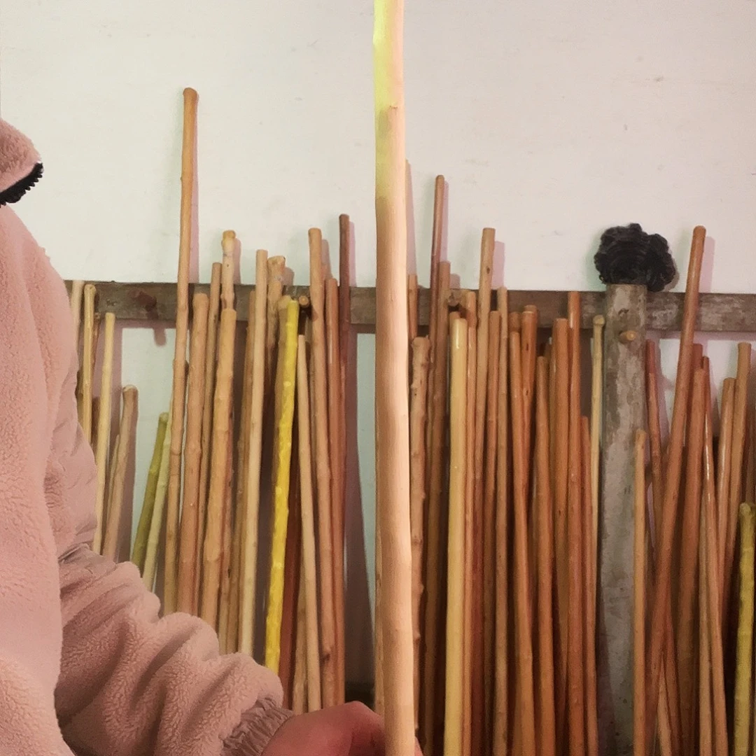 青***在秦岭山脉青荀子。