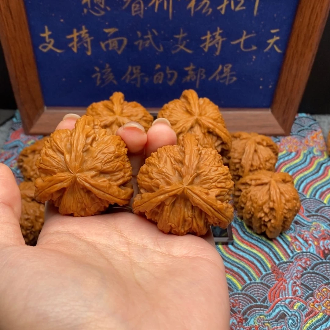 【闪购商品】隔**吴白狮