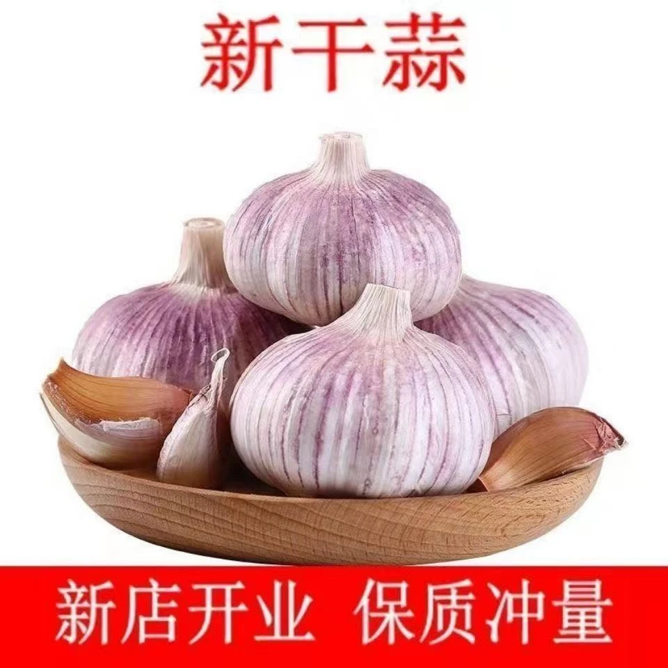 【低价冲量】农家山东干大蒜特大果紫皮新鲜干蒜种植蒜头蔬菜