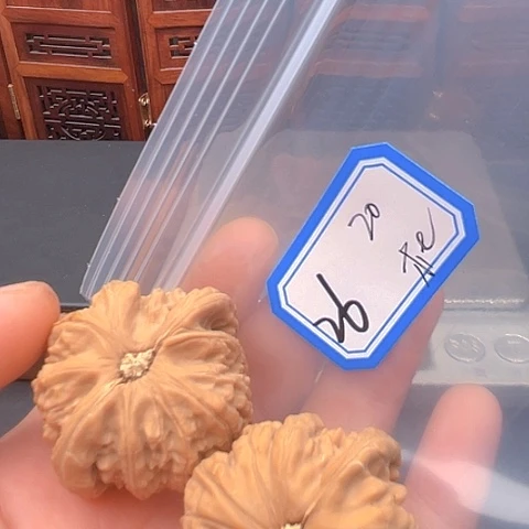 文玩核桃吊坠杜*涛白狮子