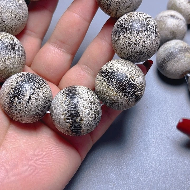 大果紫檀（缅甸花梨）其他