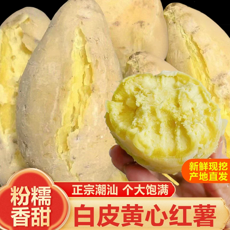 新鲜现挖白皮黄心板栗红薯农家种植粉糯香甜鸡蛋黄番薯产地直销