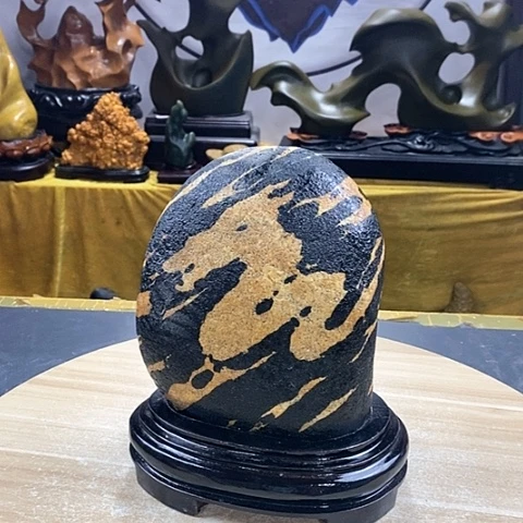 石材福利活动开始