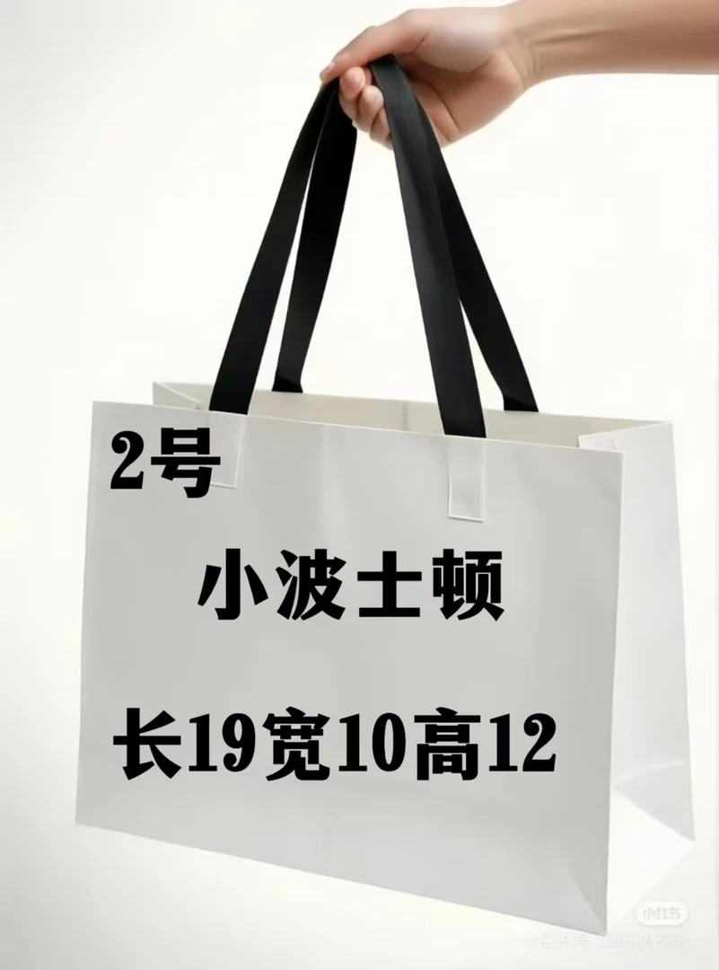 Q 002 时尚百搭小波士顿包 8117