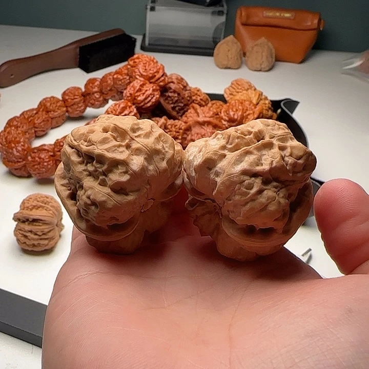 38-41-34肌肉蛙八腿开背A69号