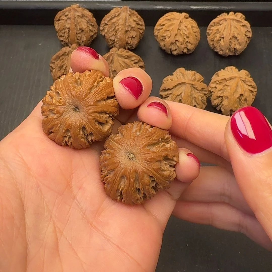 *****核桃突突突突突突