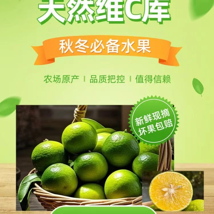 森食客广西皇帝柑当季新鲜水果贡柑橘子清甜可口