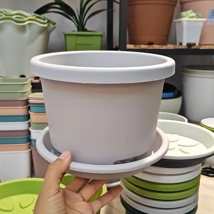 球根外口径20.5高15，灰白带托五个