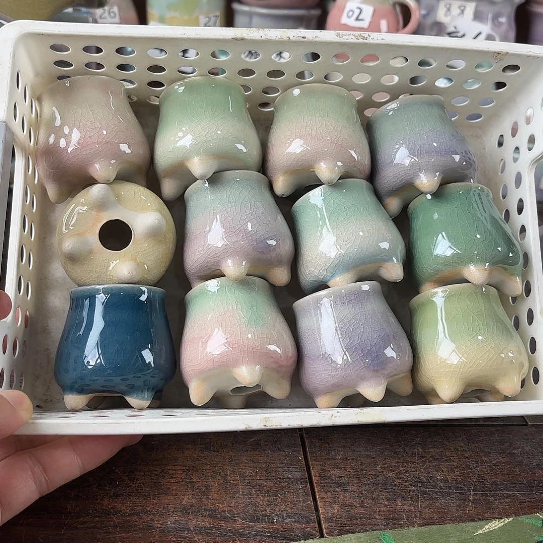 量货/口3.5高5.5深浅搭配发12个