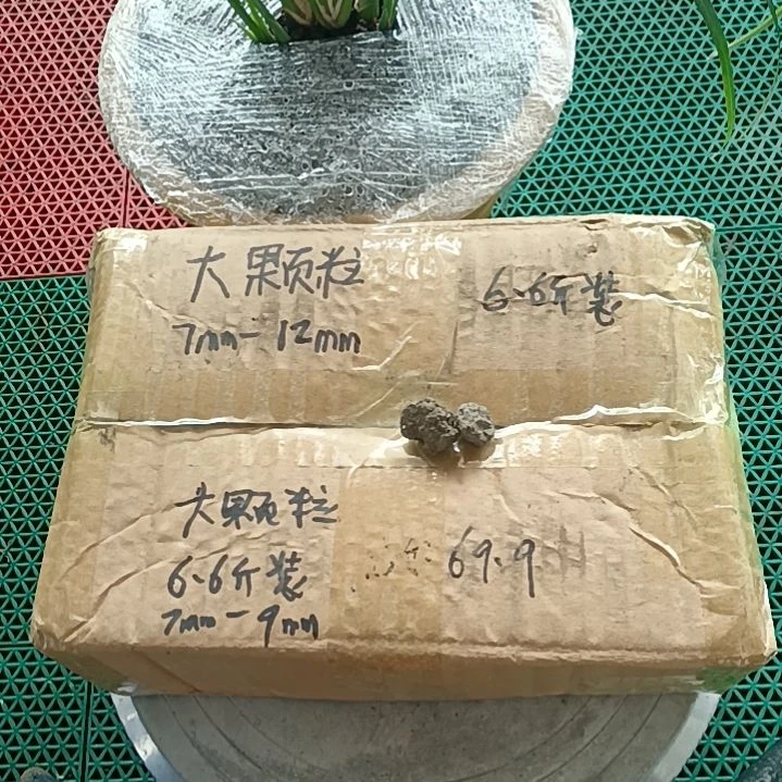 卡***卡兰菌颗粒   大颗粒6.6斤