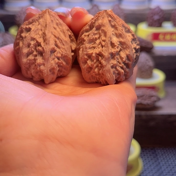 核桃11号车车放漏