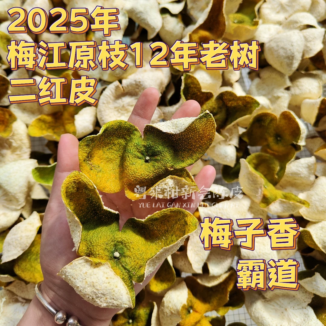 【梅江原枝二红】2025年梅江原枝12年老树 二红皮干皮 霸道梅子香