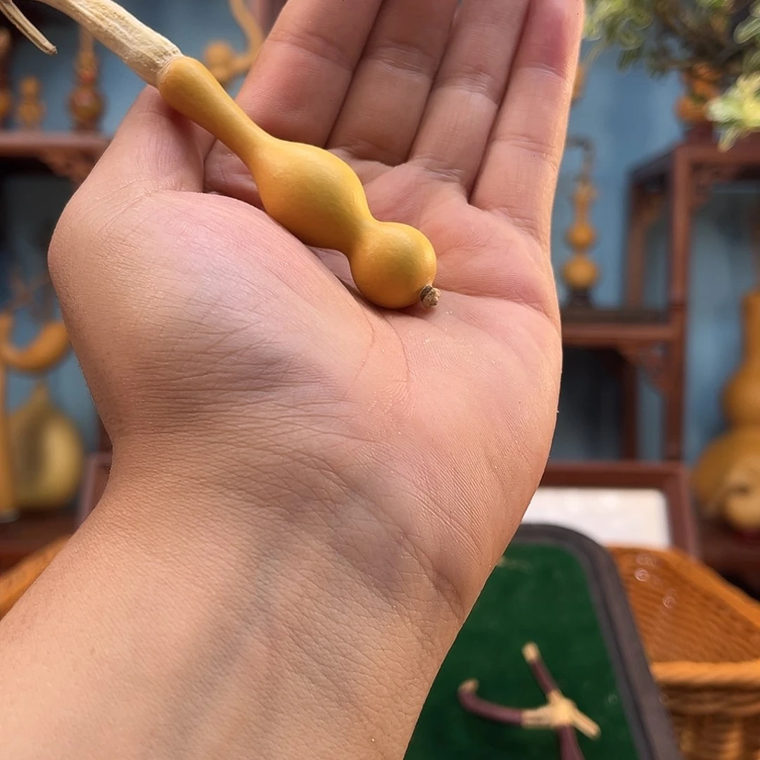 木彬**彬感谢彬彬老板的支持。爱你