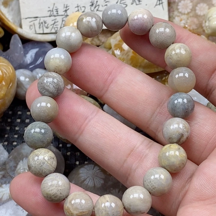 颈饰未镶嵌硅化珊瑚（珊瑚玉）