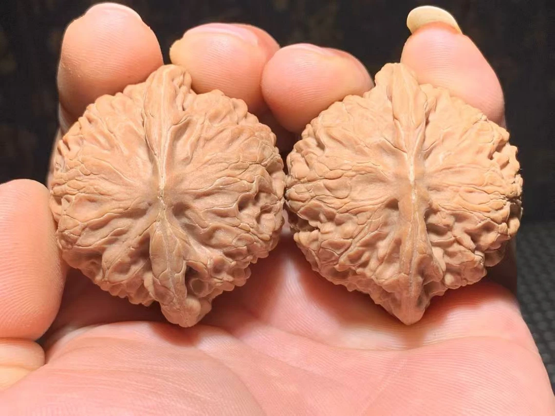 宫灯，边45肚40高35，全品精配无修，红皮，肚子饱满