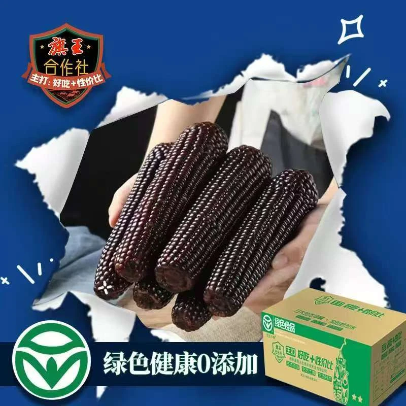 【试吃2根】绿色A级东北香甜黑糯玉米12根6斤独立真空包装
