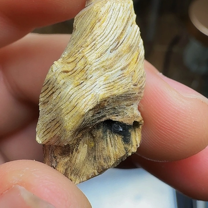 沉香枕沉香茉*海南虎斑棋1克