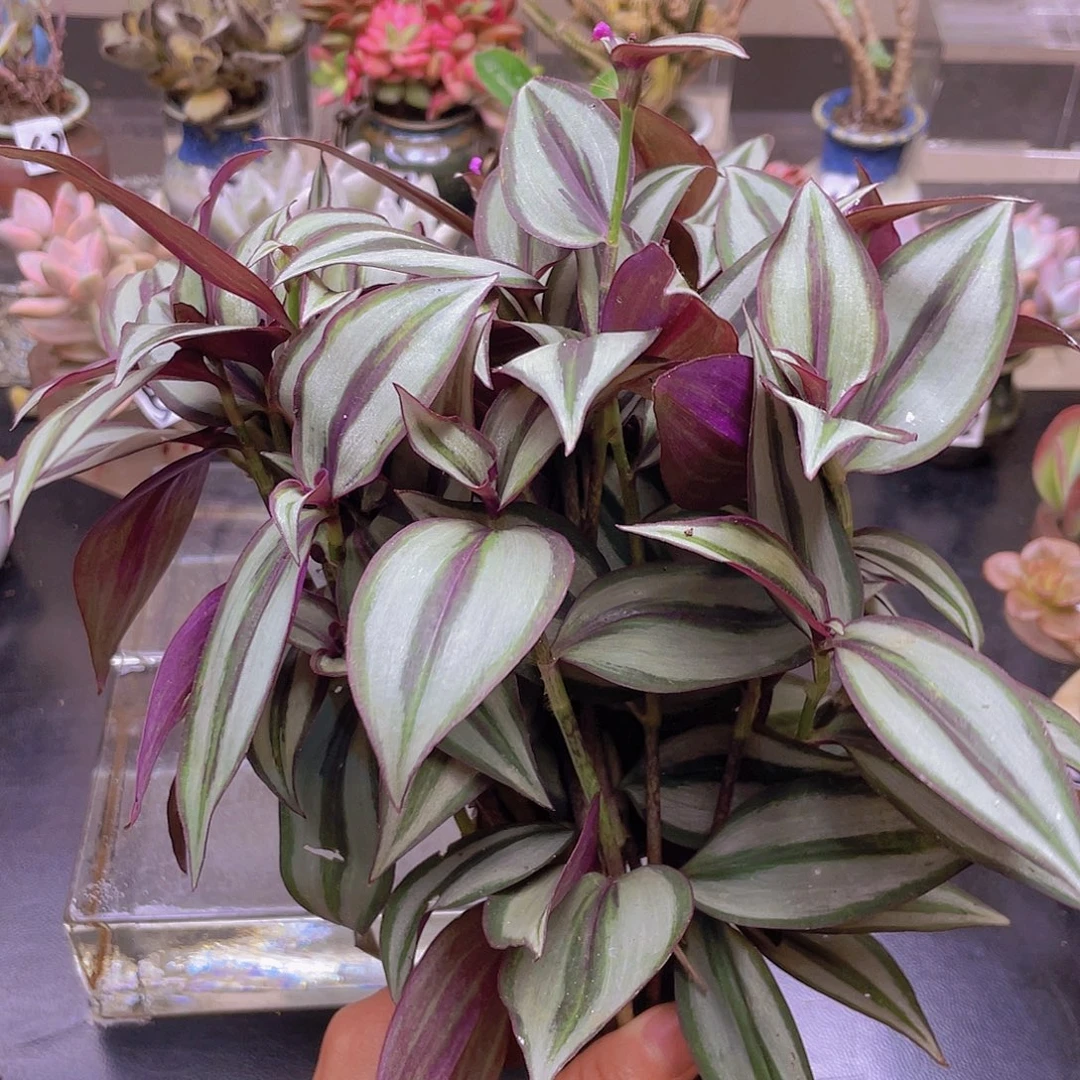 人***然花钱花钱花钱花钱